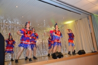 Fasching-Frohsinn-0102020 156.JPG_klein